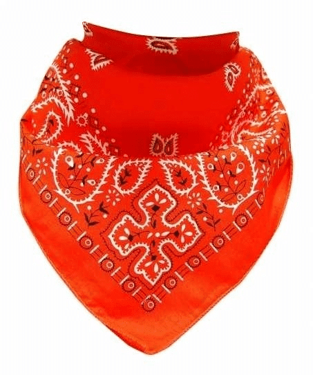 Bandana Halstuch Orange Paisley
