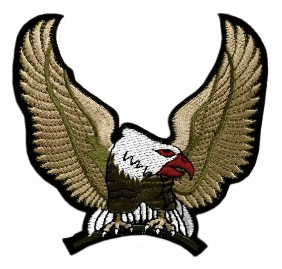Aufnäher Adler mehrfarbig